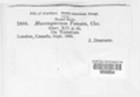 Image Associated With the Occurence